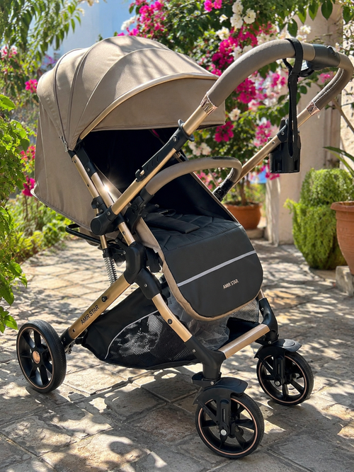 Poussette Élégante 6600 REVERSIBLE